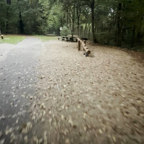 Breiter Waldweg am Spielplatz neben dem Parkplatz