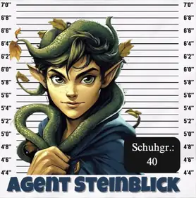 Agent Steinblick
